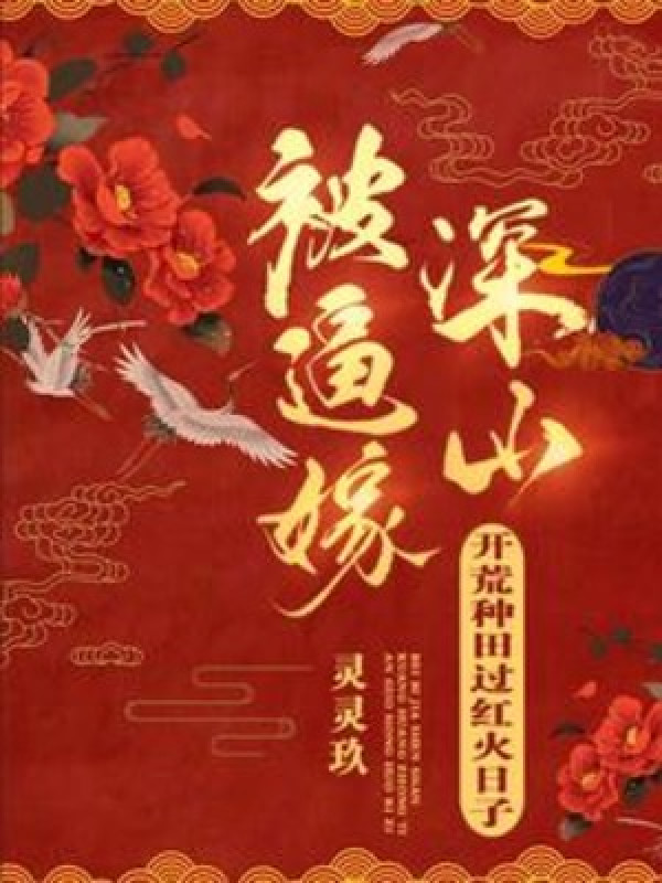 Bị Buộc Gả Thâm Sơn, Khai Hoang Làm Ruộng Qua Náo Nhiệt Thời Gian