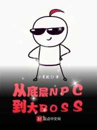 Từ Sơn Trại Npc Đến Đại Boss
